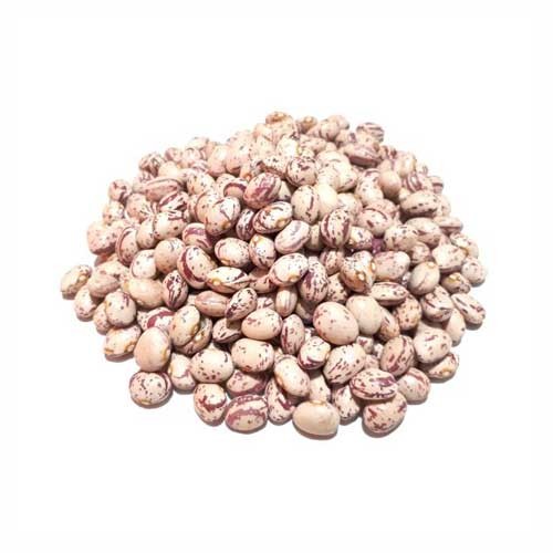 لوبیا زنجان دستچین