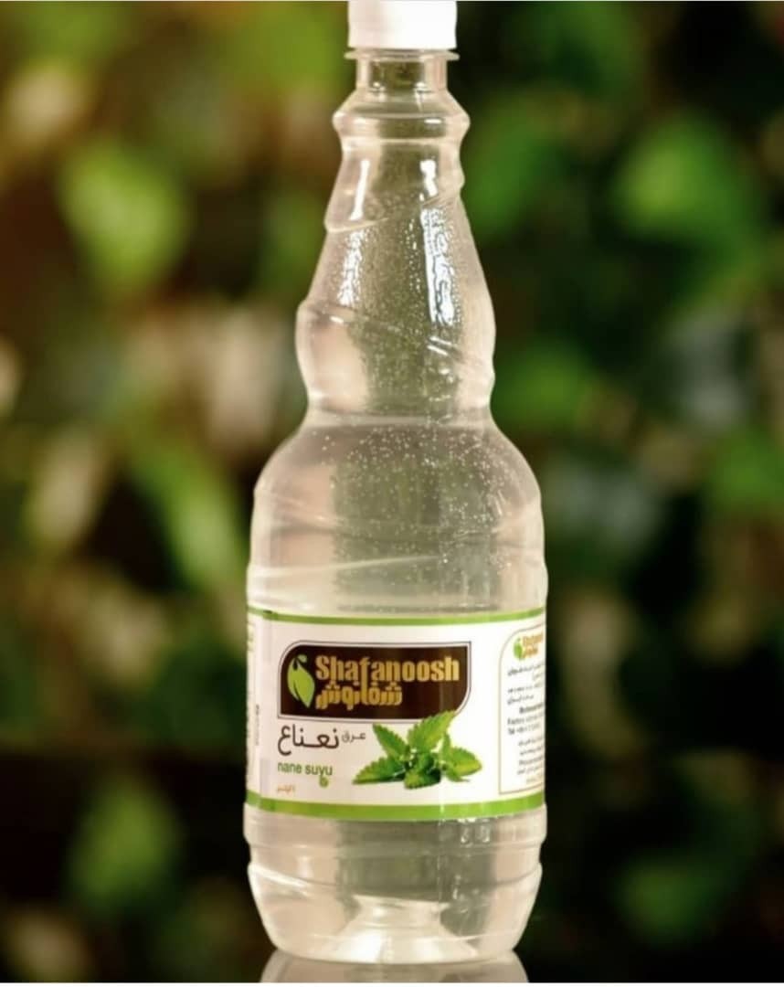 عرق نعناع شفانوش